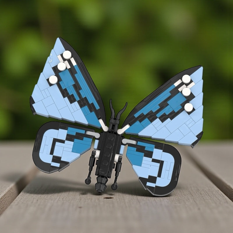 Butterfly & Praying Mantis